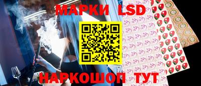 гашик Будённовск