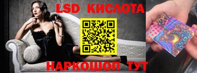 гашик Будённовск