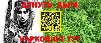 гашик Будённовск