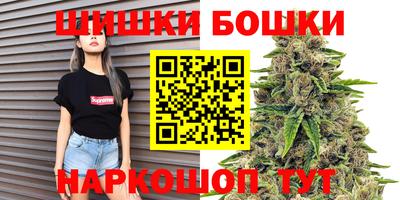 гашик Будённовск