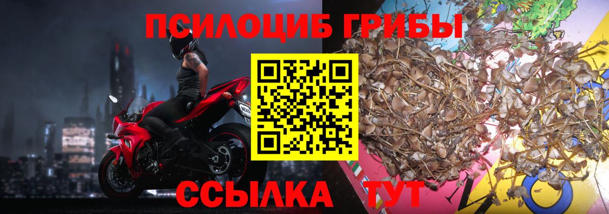 Саяногорск  Псилоцибиновые грибы Psilocybe  наркотики  Вход с VPN 